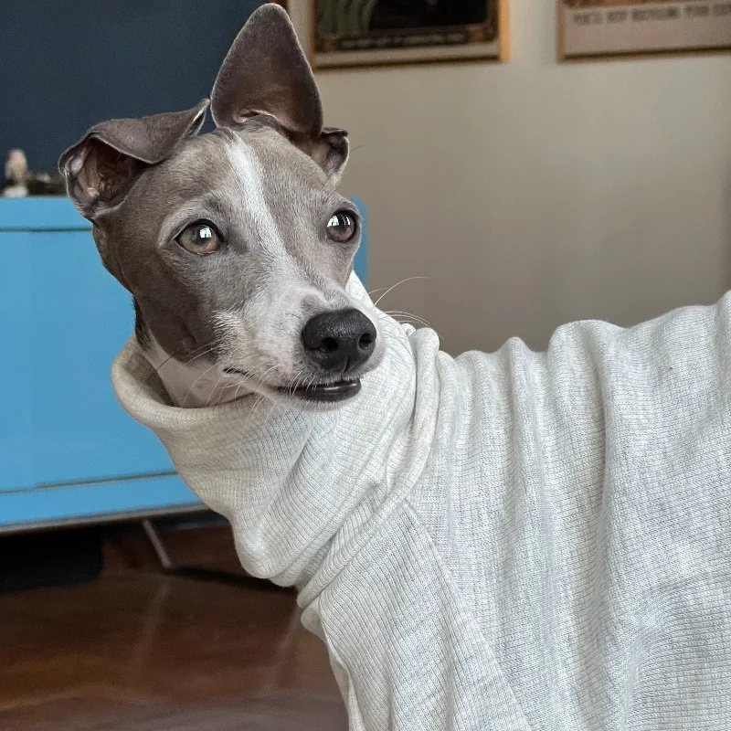 Ropa de invierno para perro – Camisa cuello alto de algodón - imagen 4