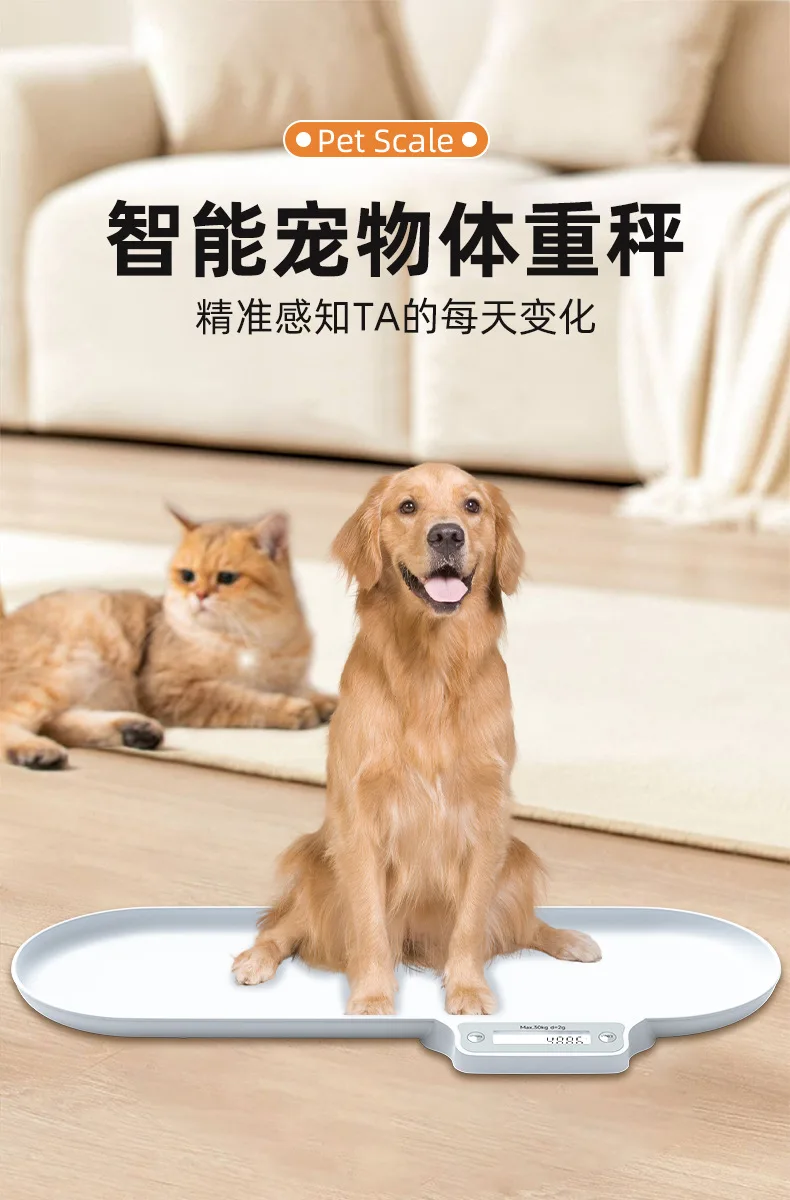 hmqViviiyNSAyin8WueXt+NfLxKE1F2/N7OR