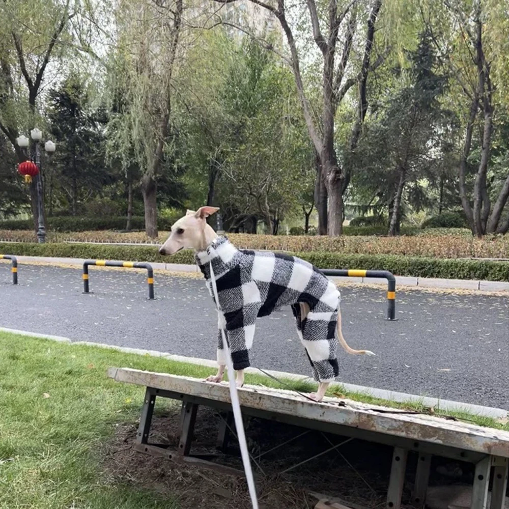 Monos de invierno para galgo italiano en patrón de cuadros blanco y negro, ropa cálida de cuello alto para Whippet, maltés sin pelo mexicano - imagen 2