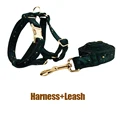 Harness   leash