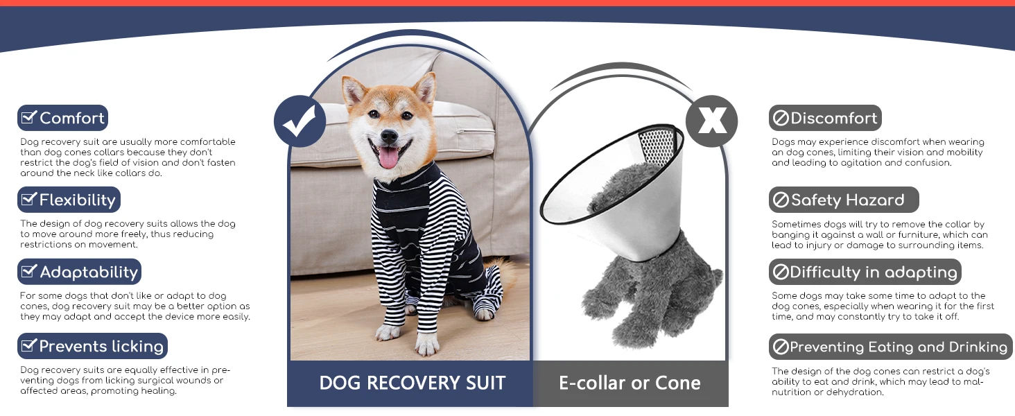 Dog Recovery Suit