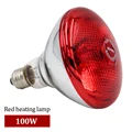 100W Heating bulb