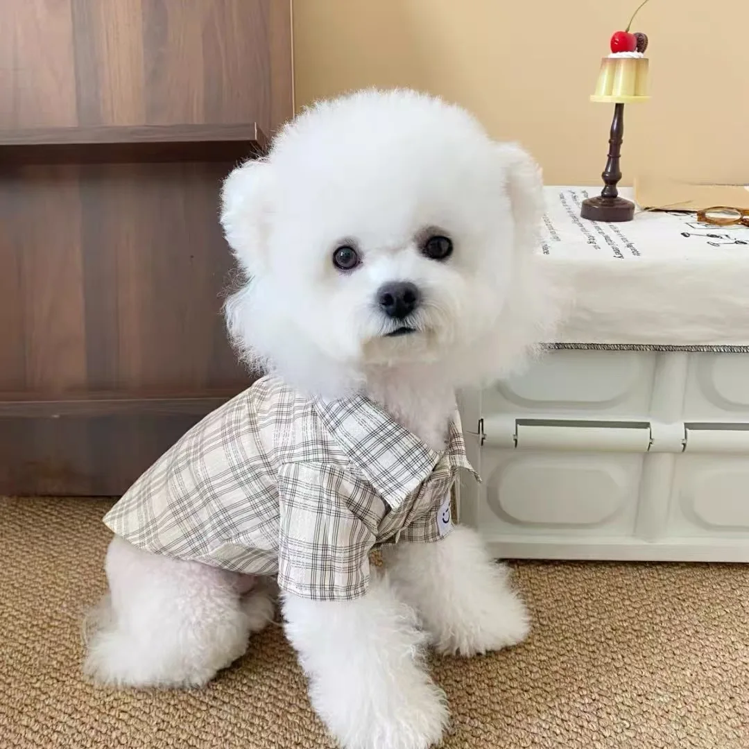 Nueva ropa para perros, falda de encaje, camisa, ropa para caminar al aire libre para perros, camisa de verano, falda para perros de diseño a la moda - imagen 4