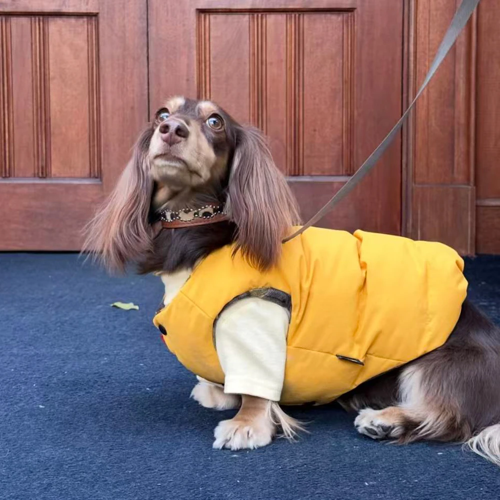 Chaqueta forro polar cortavientos con botones perro Dachshund - imagen 4