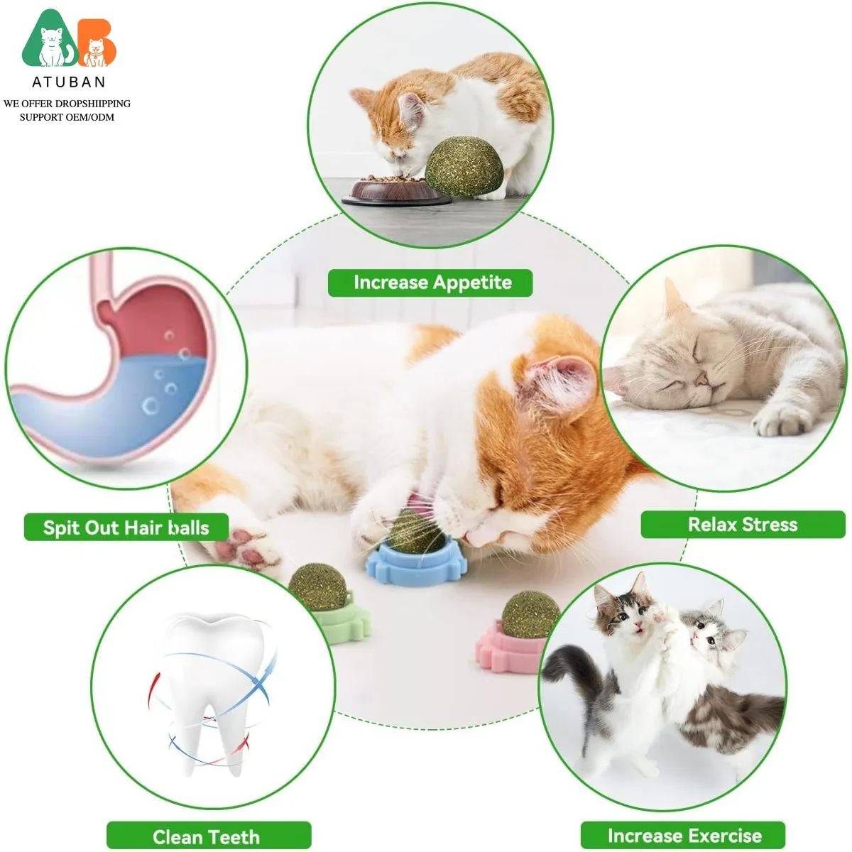 ATUBAN 3PCS Bola de pared de hierba gatera, juguetes para gatos Bolas de hierba gatera para gatos Bola de hierba gatera montada en la pared Juguete Bola de lamer de gato de pared - imagen 4