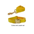 collar and leash set