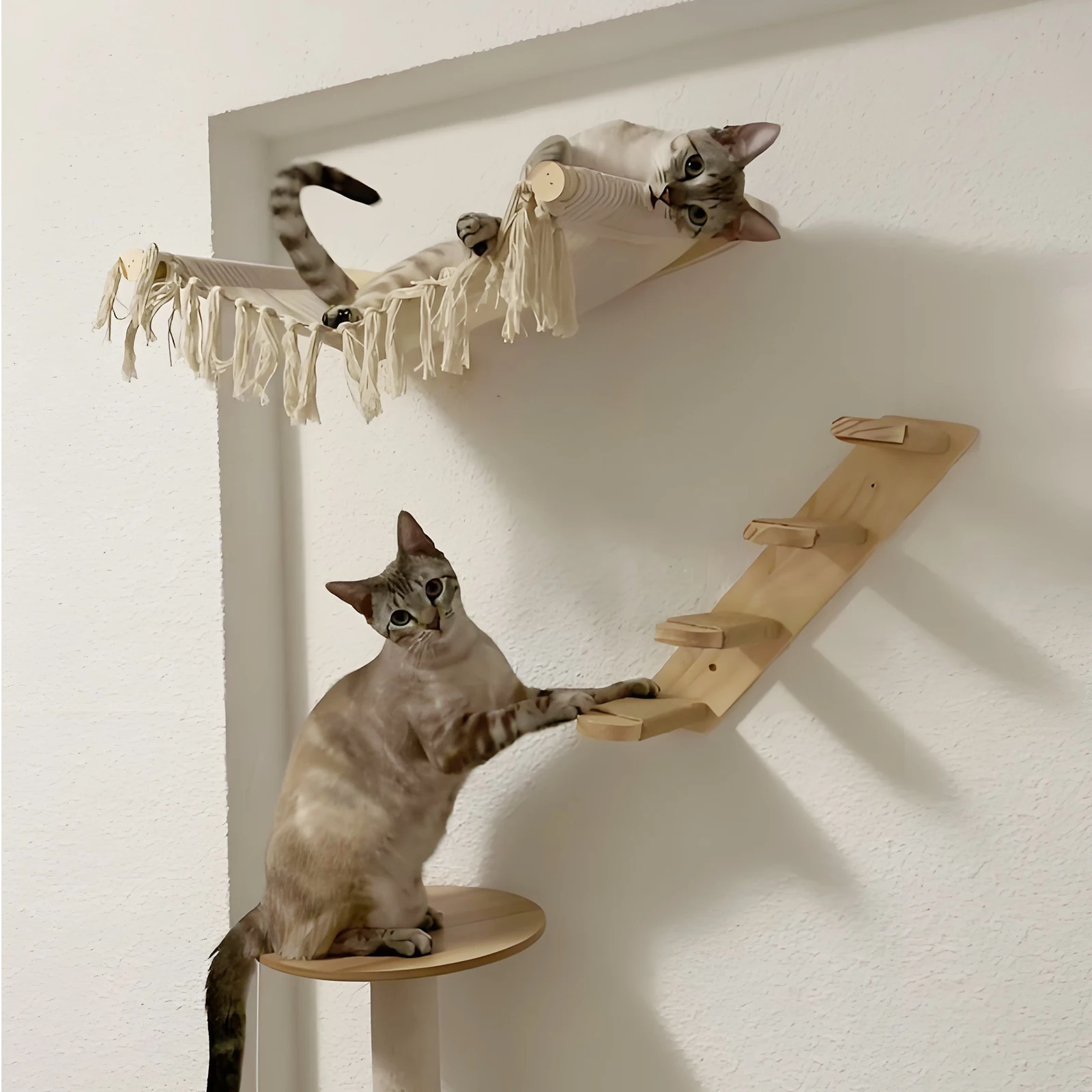 Detalle de la cuerda de sisal de la escalera para gatos