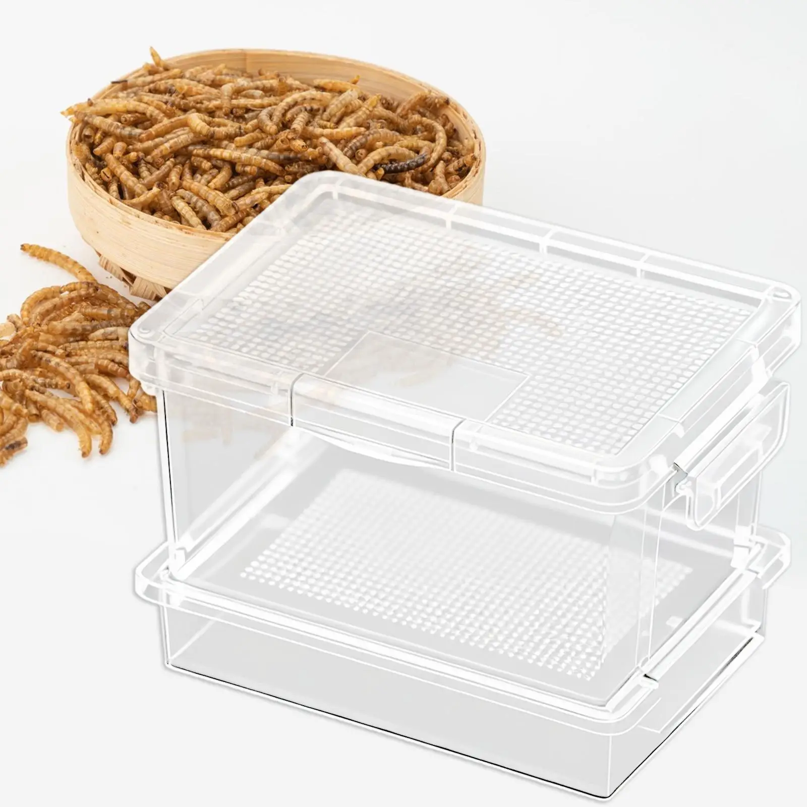 Caja de alimentación para reptiles, caja alimentadora portátil para reptiles para cricke, levantando gusanos de comida - imagen 4