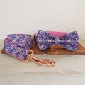 Bow Tie Collar Leash