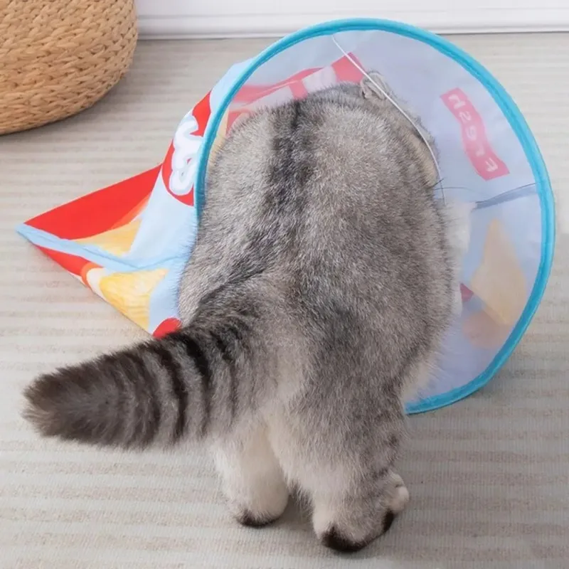 Bolsa de taladro interactiva de poliéster para gatos, plegable con sonido, patatas fritas, túnel para gatos, resistente a mordeduras, túnel de juego para gatos, juguetes - imagen 4