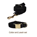 collar and leash set