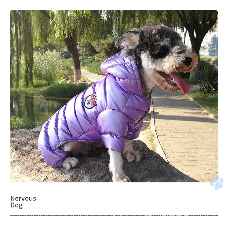 Pet Clothing _19.jpg