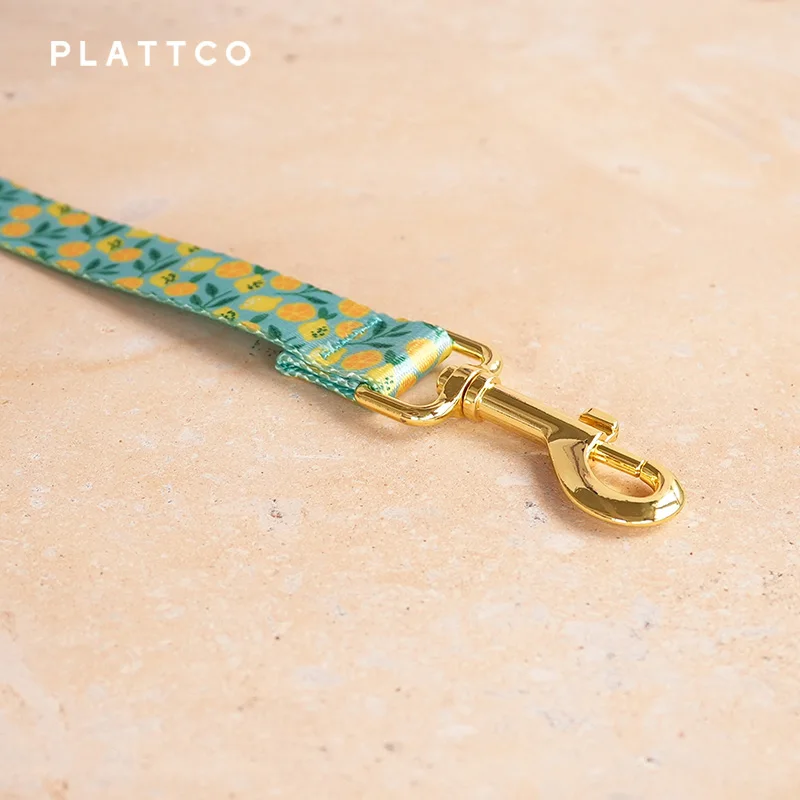 PLATTCO diseño único correa de perro estampado LEMON TEASE patrón y hebilla dorada de alta calidad 5 tamaños PDL329YG - imagen 5