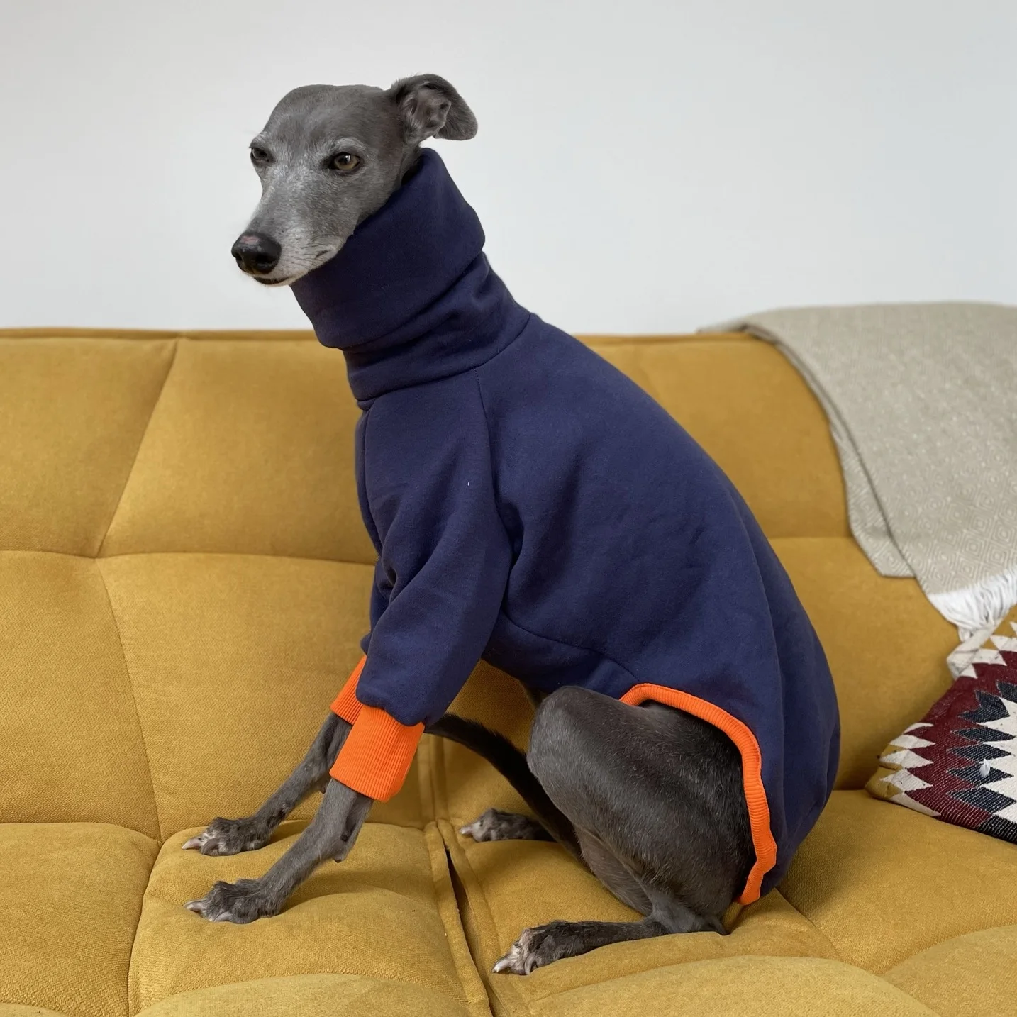 Mono de 2 patas de lana azul a la moda para galgo italiano, camiseta de manga larga con cuello alto para perros, pijamas de invierno para Whippet - imagen 2