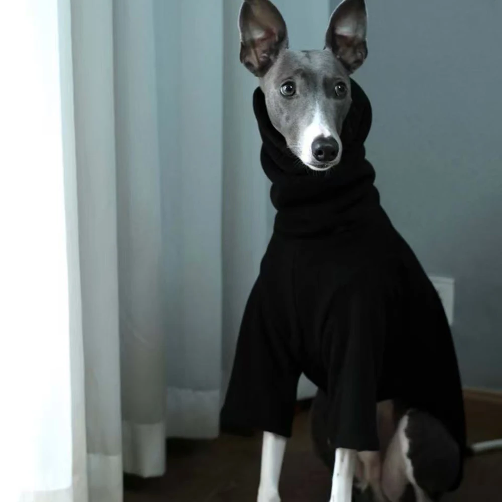Camiseta interior suave y transpirable para Whippet, abrigo de 2 patas para pijama negro de cuello alto de galgo italiano para perros pequeños y medianos - imagen 5
