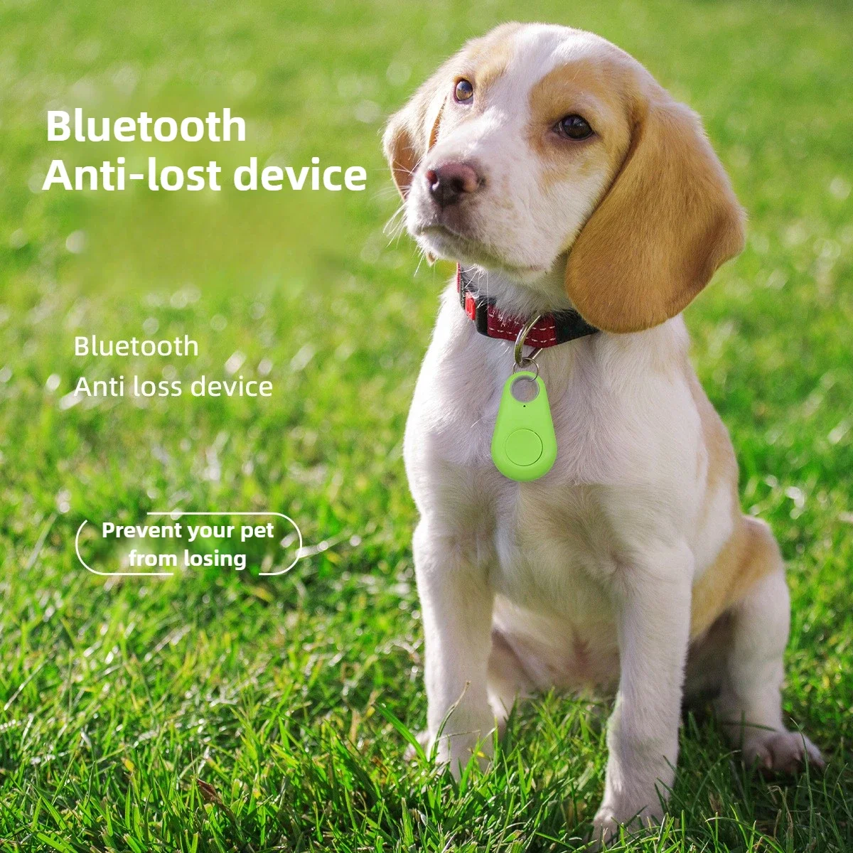 Localizador inteligente para mascotas, monitoreo de perros, localizador antipérdida para mascotas, dispositivo antipérdida Bluetooth pequeño Android
