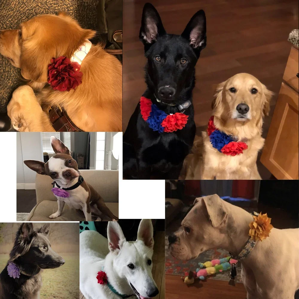 Collar de flores a granel para perros, accesorios para perros, pajarita para mascotas, Collar de flores para perros, accesorio para Collar de flores - imagen 5