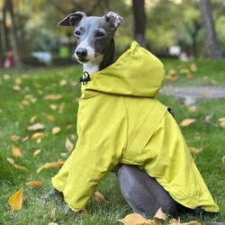 Chaqueta impermeable amarilla para galgo – Cortavientos y antilluvia