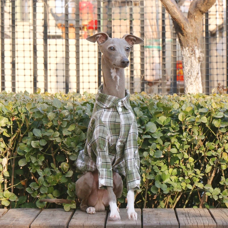 Camisa a cuadros para perros y mascotas, ropa de rejilla para perros grandes, ropa de algodón para primavera, ropa para cachorros pequeños y grandes, productos de disfraces para mascotas al aire libre a la moda - imagen 5
