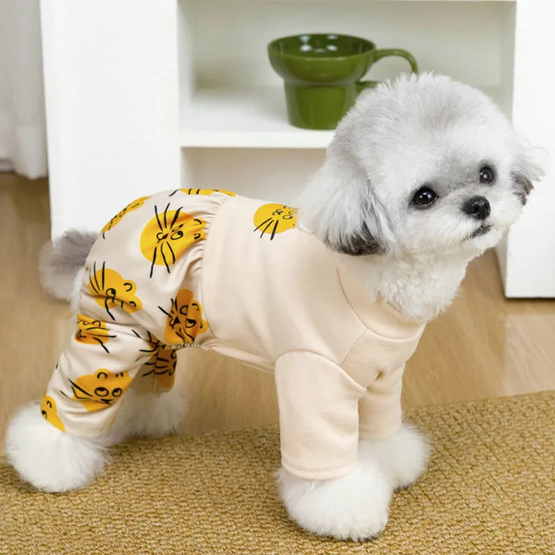 Conjunto ABQP para perros pequeños