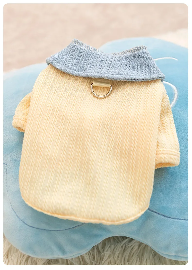 Camiseta estilo Teddy para perro pequeño