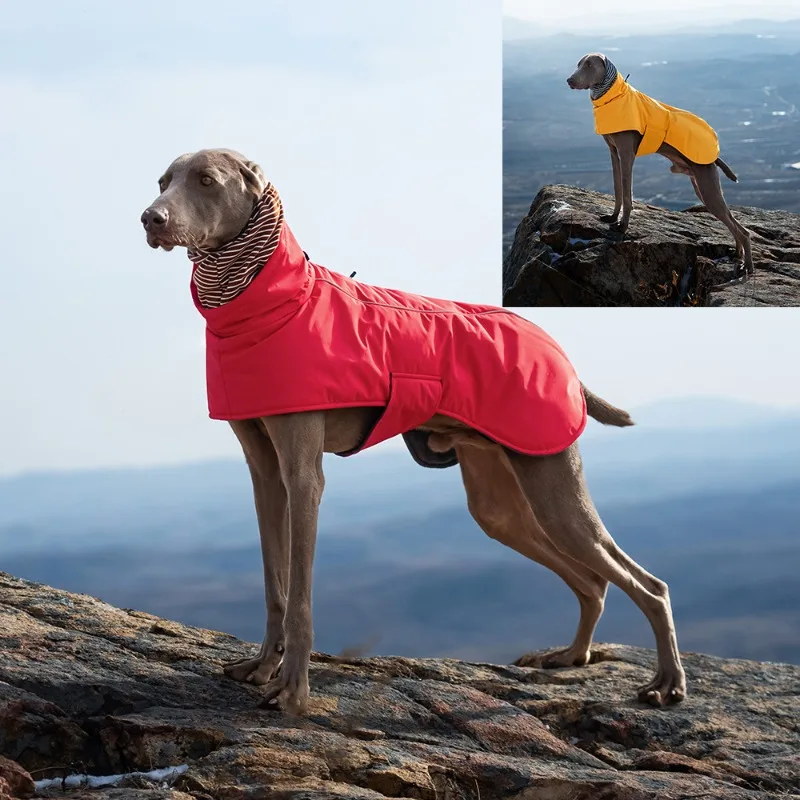 Abrigo impermeable para perros grandes – Reflectante y cortavientos - imagen 3