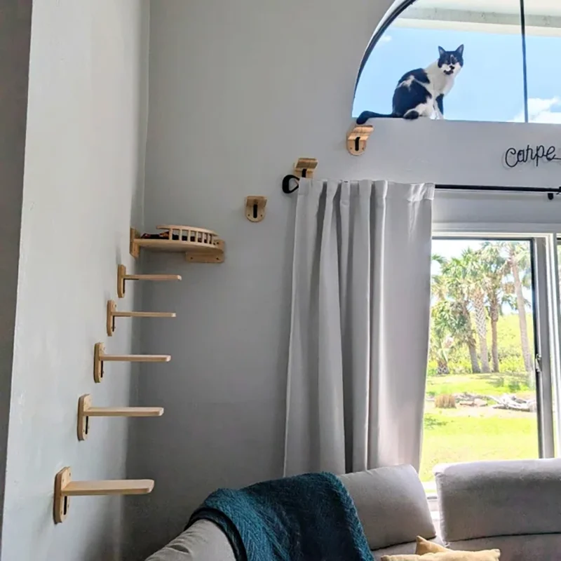 Juego de estantes montados en la pared para gatos, plataforma de observación de esquina con plataforma de salto pequeña para escalar y dormir con gatitos