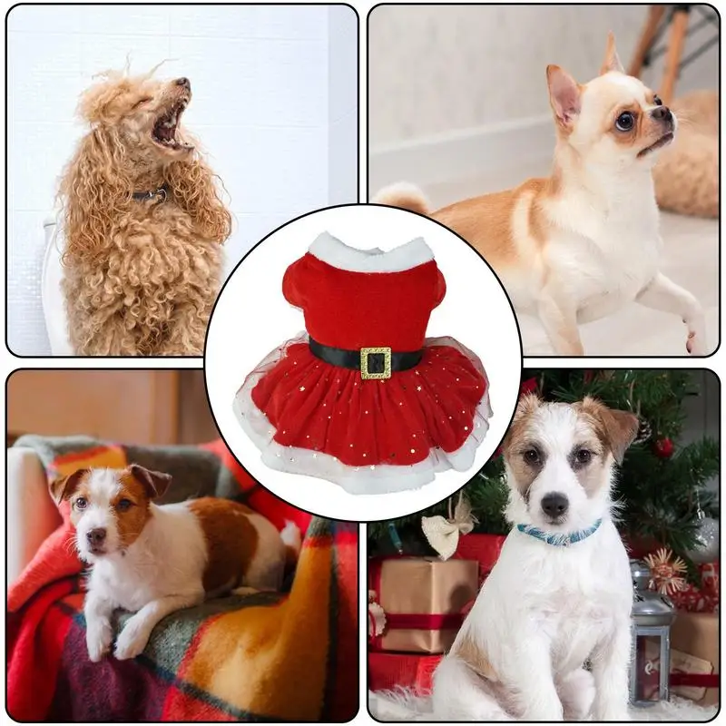 Disfraz navideño para perro, traje de Papá Noel, red brillante para perro, gato, traje de vacaciones de Navidad para perros pequeños y medianos - imagen 3
