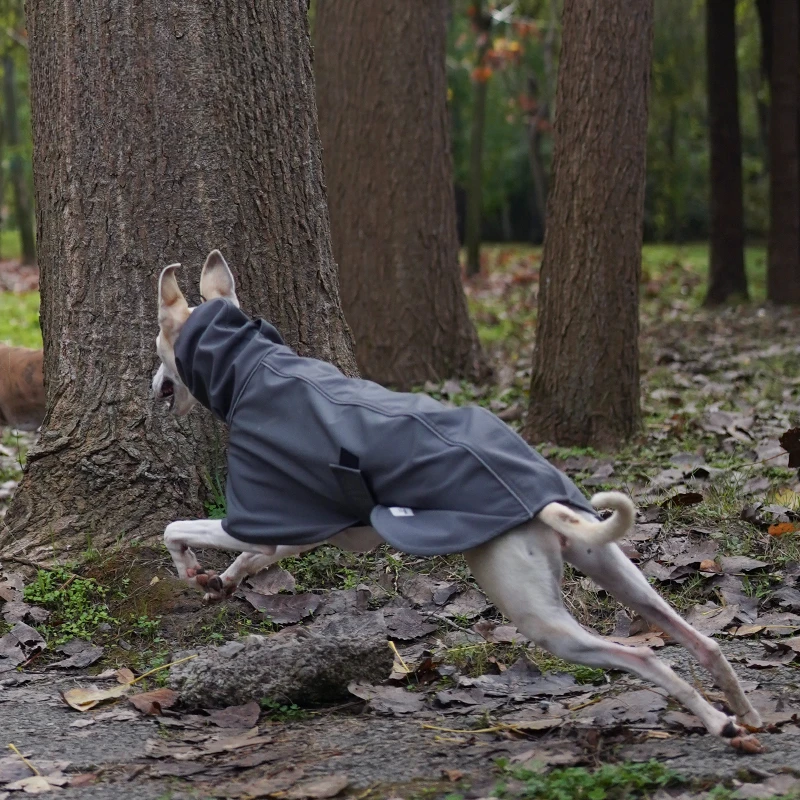 ขนแกะกันน้ําสําหรับสุนัขอิตาเลี่ยน Whippet Coat ฤดูหนาว Greyhound เสื้อผ้า WARM เสื้อสุนัขสัตว์เลี้ยงผลิตภัณฑ์อุปกรณ์เสริม - imagen 4