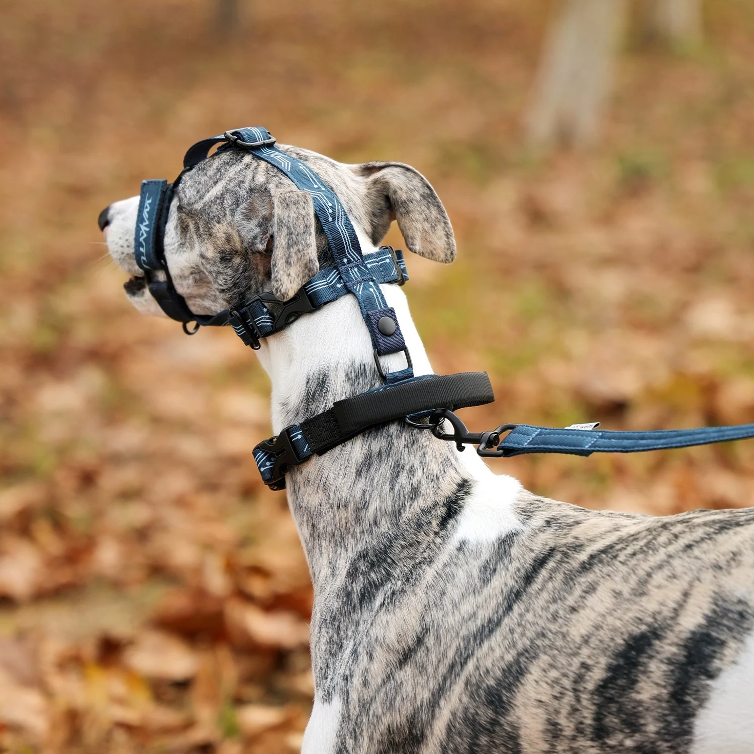 Collar de cabeza suave Leader No-Pull para perros, conjunto de Collar de correa para mascotas, Collar ligero para mascotas con bozal, bozal para perro con correa de cuello - imagen 4