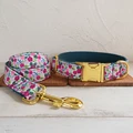Dog Collar Leash Set