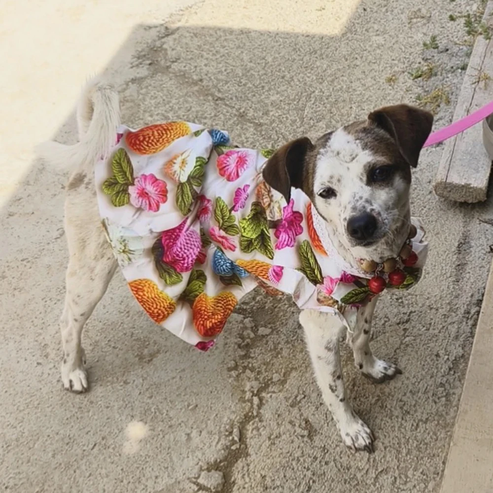 Ropa de verano para perros, vestido estampado 3D para mascotas con anillo de tracción para perros pequeños, Chihuahua, Yorkshire, vestido de una pieza, ropa para cachorros - imagen 4
