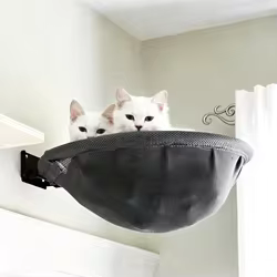 Hamaca para gatos, cama plegable para gatos, paredes para gatitos, muebles para gatos, gatitos, jugar, descansar, escalar, suministros para mascotas