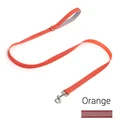 orange leash