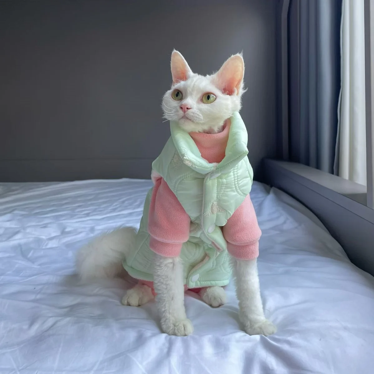 Chaqueta gruesa de lana a prueba de viento para gato Sphynx, abrigo verde cálido con botones y cuello alto para gatitos, ropa de descanso para Devon Rex, invierno - imagen 2