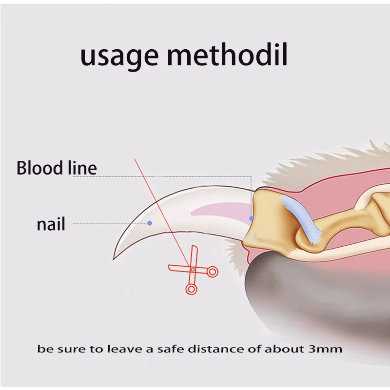 Cortauñas para perros, tijeras para gatitos, cortaúñas para dedos de los pies, herramientas de aseo que ahorran trabajo para animales, suministros generales para mascotas - imagen 4