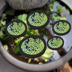 Anillo de alimentación EVA para acuario - planta flotante y barrera
