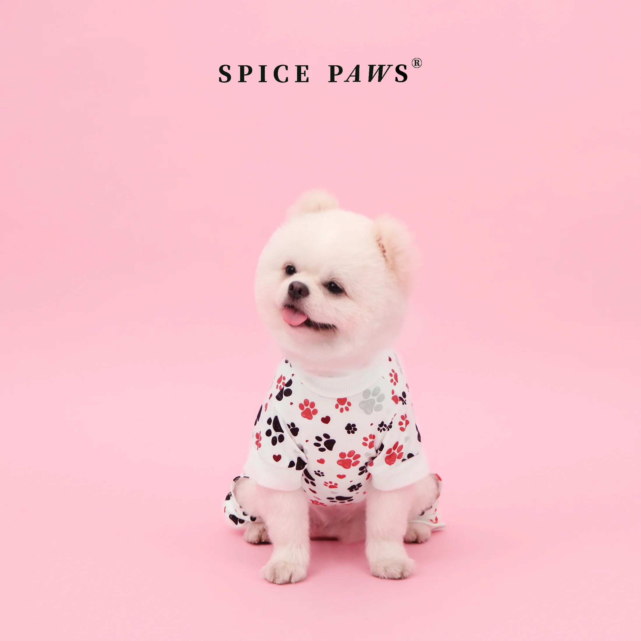 Mono de cuatro patas para gatos y perros con huellas de San Valentín - imagen 5