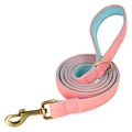 Pink Leash