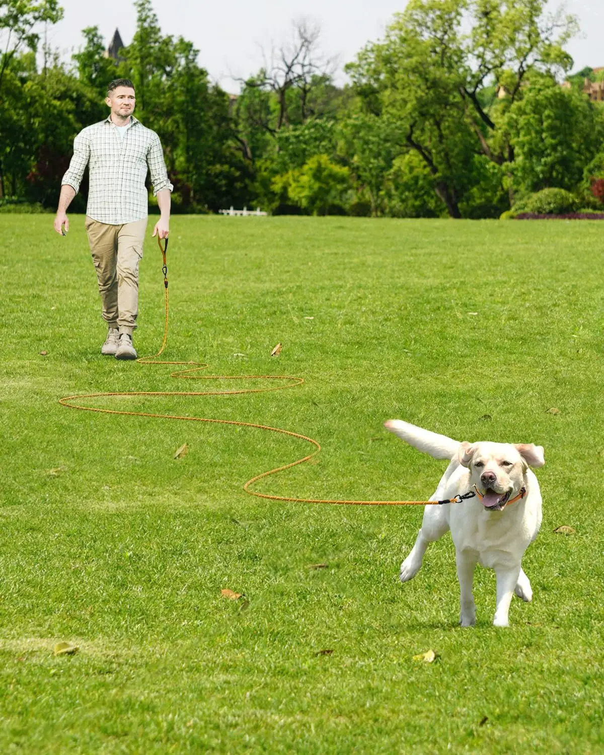 Correa de 30 pies de largo para perro con mango acolchado extraíble, correa resistente para perros grandes, correa de entrenamiento reflectante para jugar, acampar