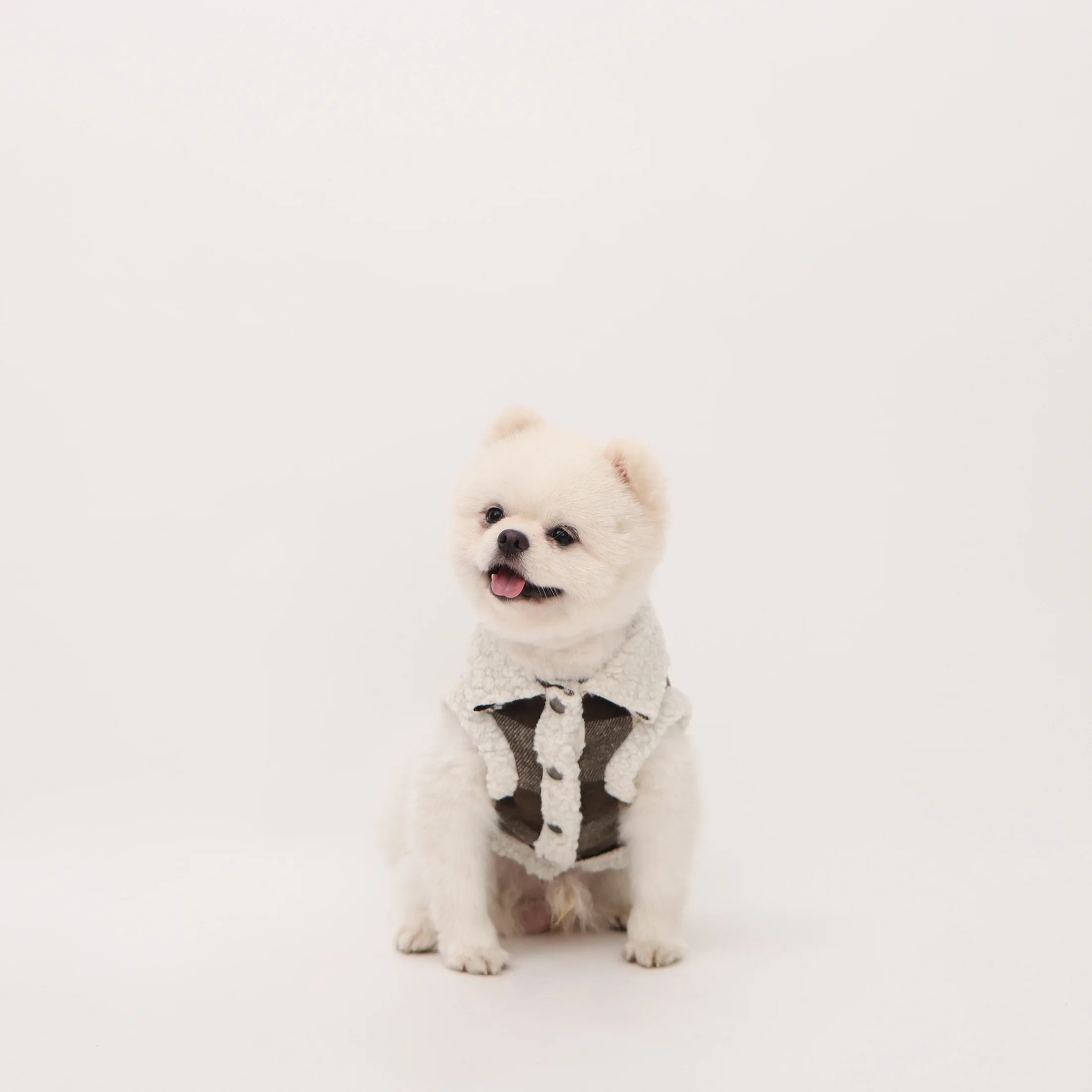 Chaleco abrigo para perros y gatos pequeños – Estampado a cuadros con bolsillo - imagen 4