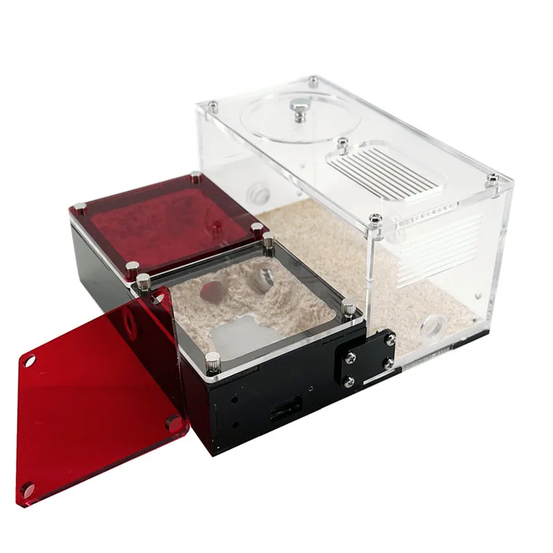 Nido hormiga - Espacio vital