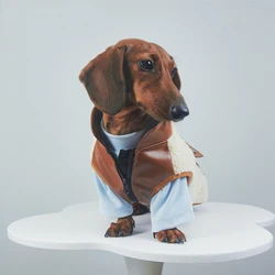 Chaleco térmico para perros salchicha – Abrigo invierno