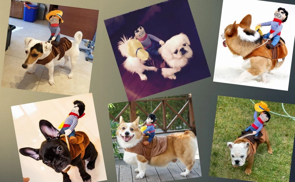 dog costumes for medium dogs