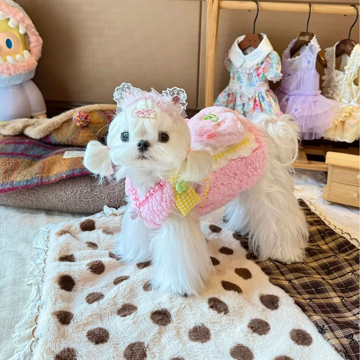 Abrigo de punto suave para perros pequeños Bichón Frisé y Teddy - imagen 5
