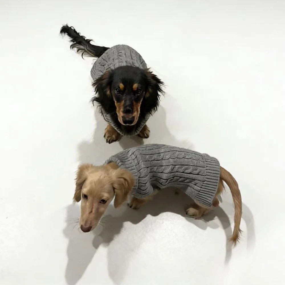 Chaleco de punto invierno para perros pequeños y Dachshund - imagen 5