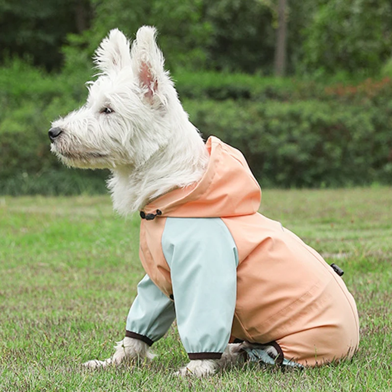 Mono impermeable para mascotas, chubasquero para perros pequeños, Schnauzer, Yorkshire, cachorro, moda - imagen 3