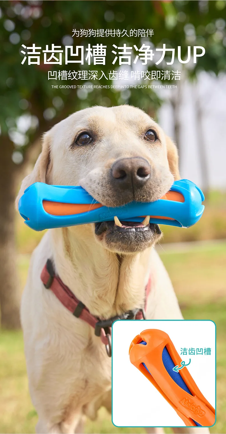 Perro jugando con el juguete en lago