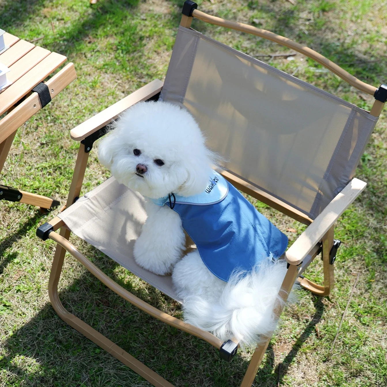 Chaqueta impermeable y resistente al viento para perros, chaqueta funcional para exteriores, impermeable ajustable para perros, ropa reflectante elegante para cachorros, azul - imagen 5