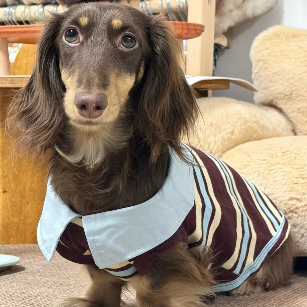 Camiseta de cuello alto a rayas para perros pequeños y medianos - imagen 3